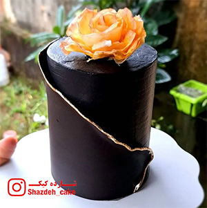 کیک مناستهای شادی شازده کیک بندرانزلی